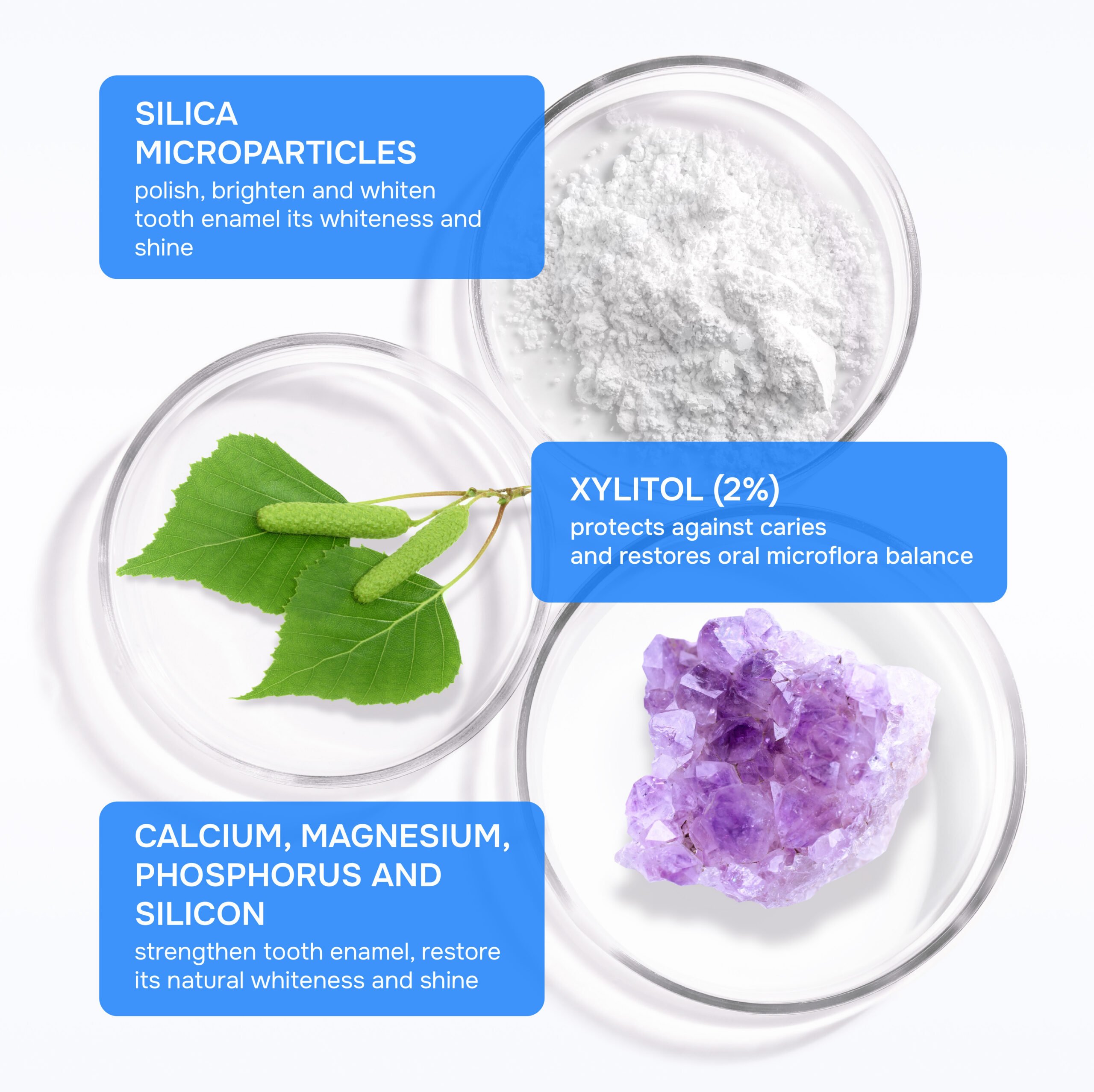 Toothpaste R.O.C.S. Whitening – Bild 3